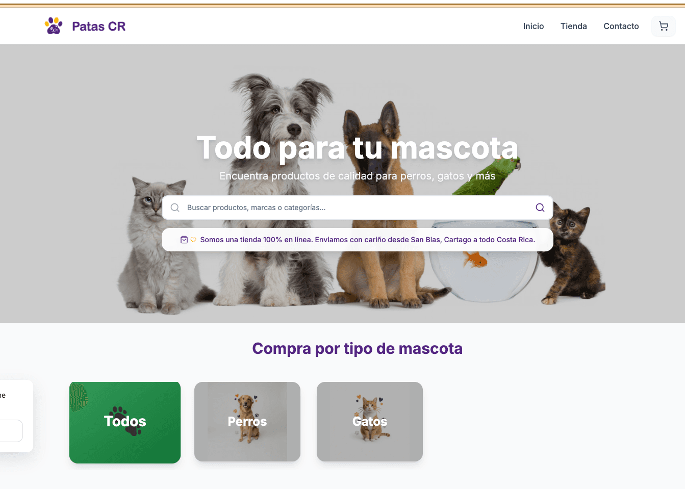 Desarrollador Fullstack e Ingeniero de IA — Patas CR